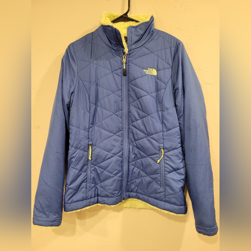Northface Winter Jacket